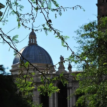 Vatican Catone *